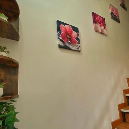 Nicehouse CTA Exterior foto